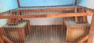 Rabbit Hutch