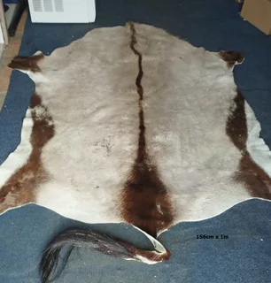 Gemsbok Skins (Decor/Traditional Wear) EACH
