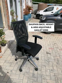 Ergonomic Dauphin Gas Lift Height Adjustable Back Adjustable Arms Adjustable Chair