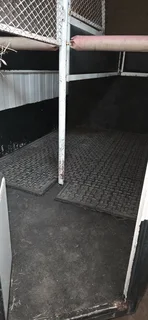 Nutti Export 2 berth horsebox