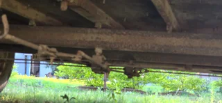 Nutti Export 2 berth horsebox