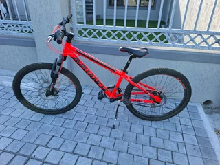 Avalanche 24" Mountain bike