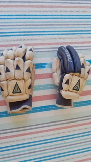 Cricket Batting Gloves