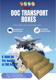 Day Old Chick Transport Boxes