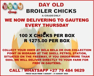A Grade Broilers - Bela Bela / Midrand