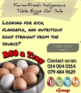 Farm Fresh Table Eggs
