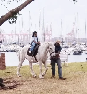 Party fun pony rides