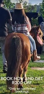 Party fun pony rides