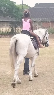 Party rides ponies for hire at your vrnur