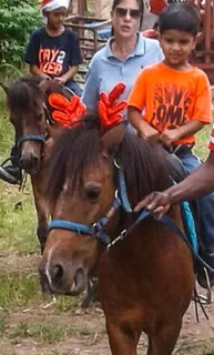 Party pony rides