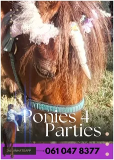 Party pony rides