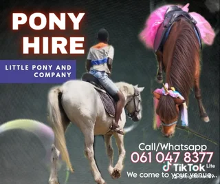 Party rides ponies for hire