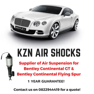 Air Shocks / Air Bellows
