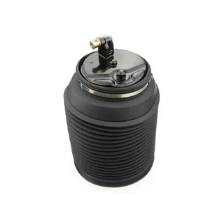 Toyota Land Cruiser Prado 120 Series - Rear Air Bellows