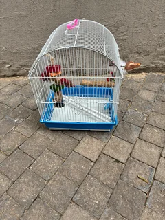 Budgie cage with round top