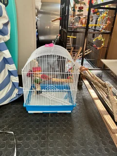 Budgie cage with round top
