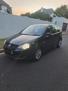 Polo Vivo