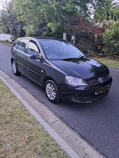 Polo Vivo
