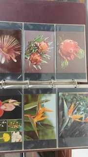 Antique - Old Post Cards