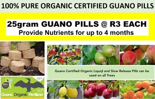 Plant Pots different colours R2  at the Milnerton Market (Stand C19) on Sundays