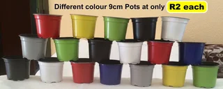 Plant Pots different colours R2  at the Milnerton Market (Stand C19) on Sundays