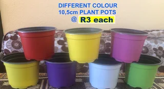 Plant Pots different colours R2  at the Milnerton Market (Stand C19) on Sundays