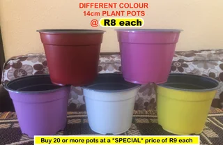 Plant Pots different colours R2  at the Milnerton Market (Stand C19) on Sundays