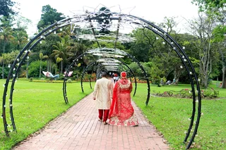 Dino&#39;s Digital studio