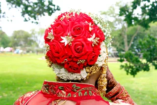 Dino&#39;s Digital studio