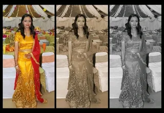 Dino&#39;s Digital Studio