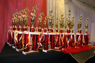 Dino&#39;s Digital Studio