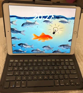 Apple 10.5 Inch Ipad Pro 256gb