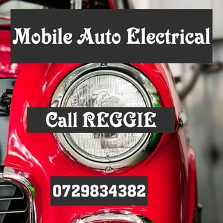Mobile auto electrician in pmb