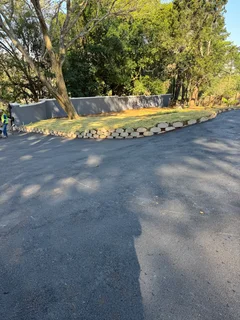 TAR DRIVEWAYS PAVING