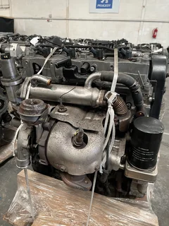 HYUNDAI 2.0 CRDI TUCSON SANTAPE (D4EA)