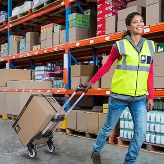 Perfect Deallz Foldable Aluminum Multipurpose Trolley