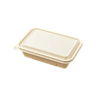 Perfect Dealz 1000ML Rectangular Disposable Food Container
