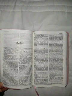 NLT Faux Leather Pink Deer Baby Dedication/Baptism Bible