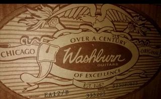 Electric-acoustic Washburn Festival series EA12 B guitar NEW strings EXCELLENT overall condition!
