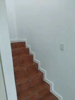 TABLE  VIEW  PAINTERS