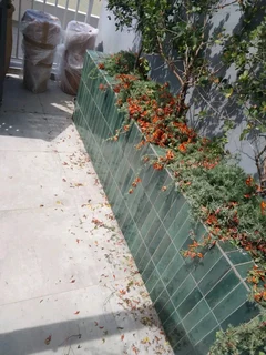 AR ASAPH RENOVATIONS  TILING