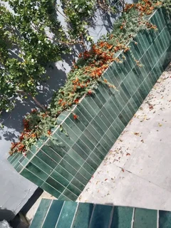 AR ASAPH RENOVATIONS  TILING