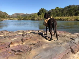 Game gaurd/ anti poaching