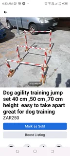 Agility dog training