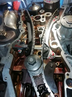 Plattekloof Timming Belt /chain replacement