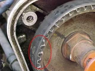 Timming Belt EDGEMEAD