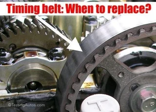 Timming Belt MONTAGUE GARDENS