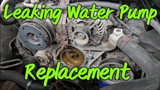 Water Pump Replacement Goodwood