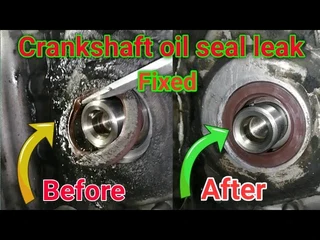 Oil Seals Replacement 11
