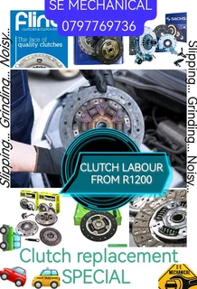 Januarie clutch special 5